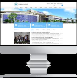 深圳市第三人民醫(yī)院官方網(wǎng)站設(shè)計(jì)制作 成功案例 沙漠風(fēng)網(wǎng)站建設(shè)公司