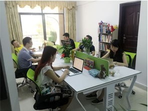 網(wǎng)站建設(shè)宣傳畫冊logo設(shè)計網(wǎng)頁設(shè)計平面設(shè)計