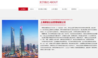 君智 沙漠風 深圳網站建設 沙漠風網站建設公司